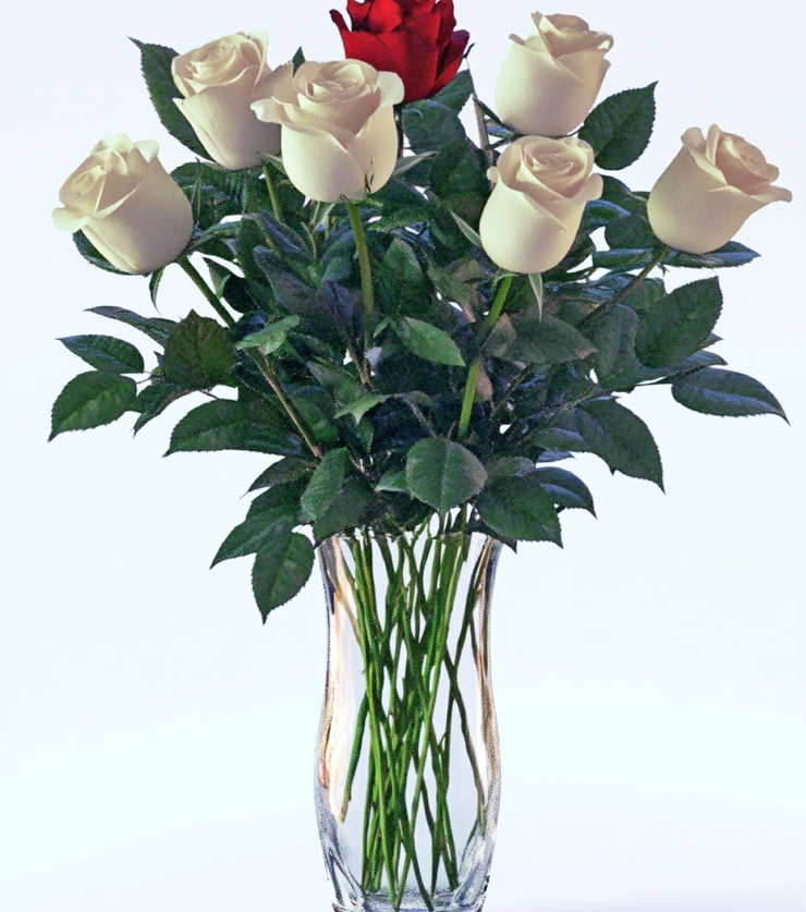 Half Dozen White Roses