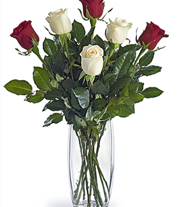 Half Dozen White Roses