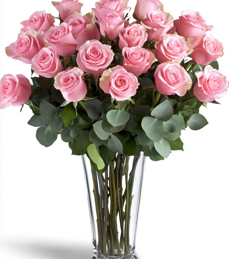 Lavish Luxuries Pink