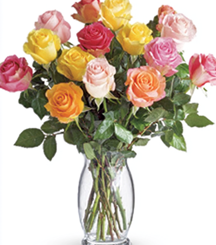 Love in Bloom