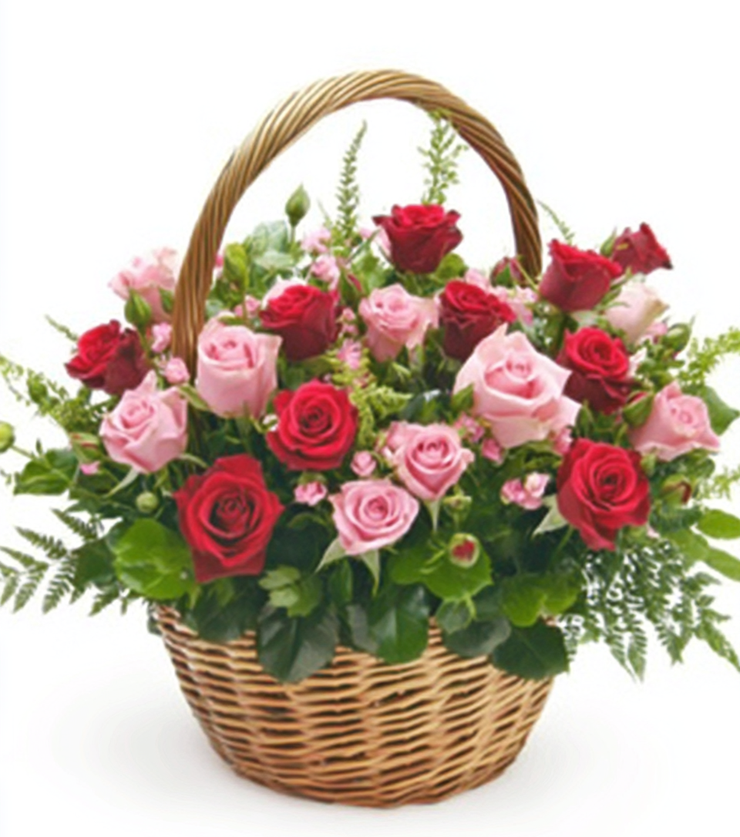 Luxurious Lilies