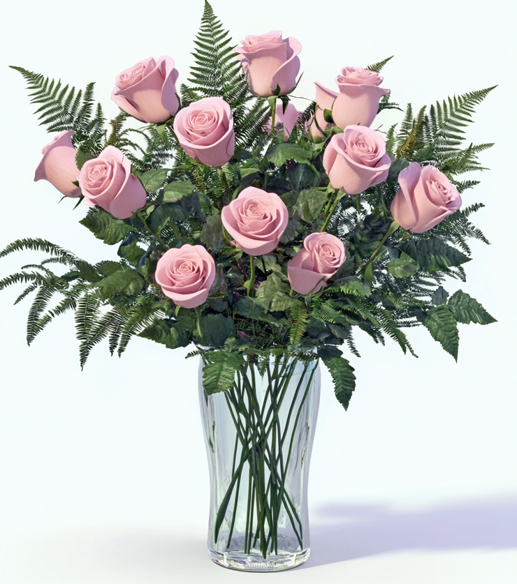 One Dozen Pink Roses