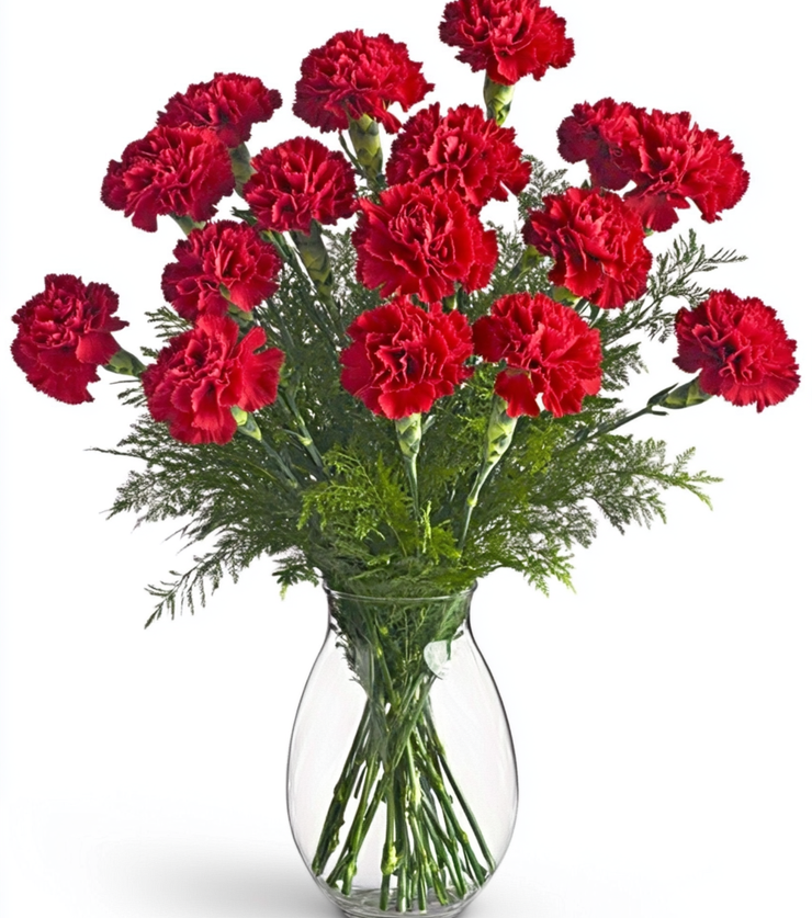 Perfectly Pink Carnations