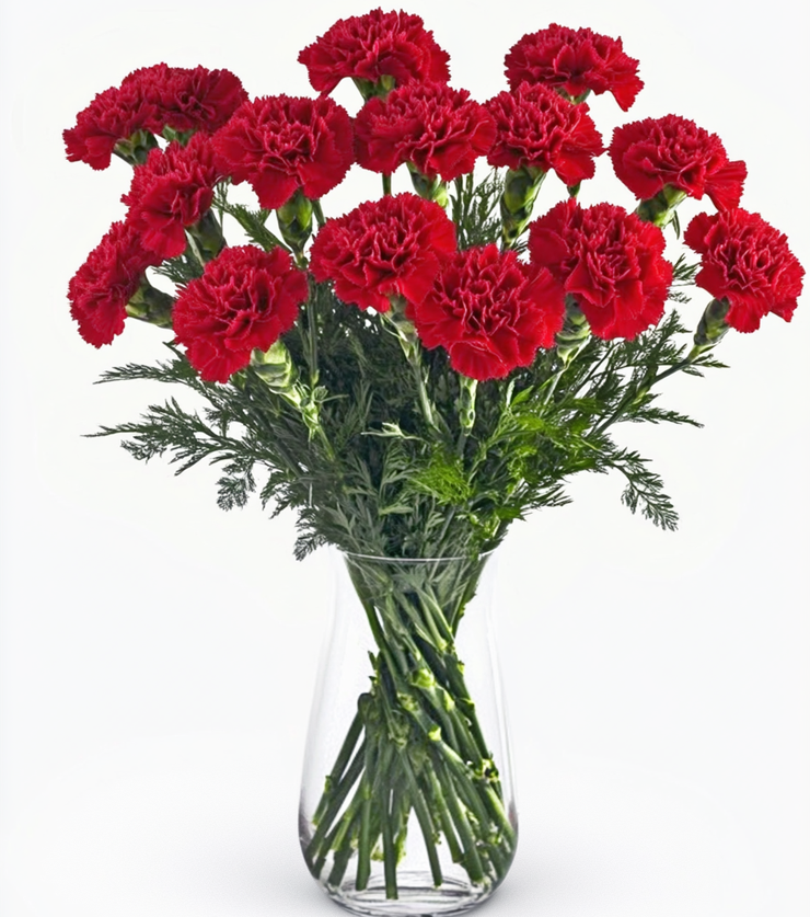 Perfectly Pink Carnations