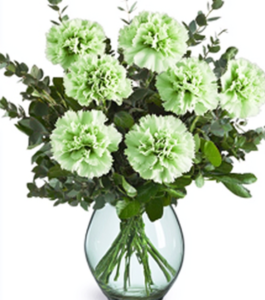 Prosperity Plant