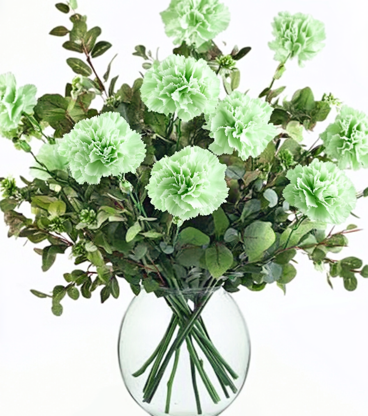 Prosperity Plant