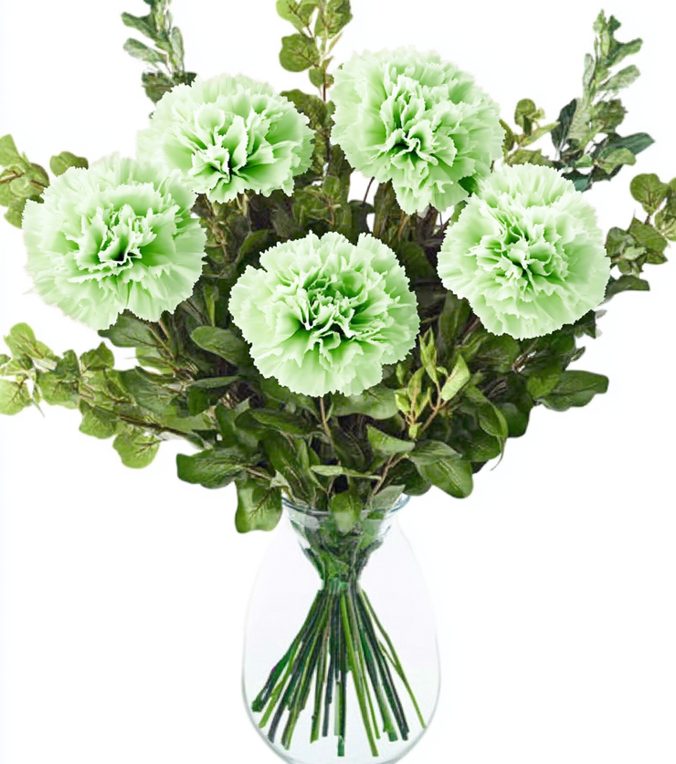 Prosperity Plant