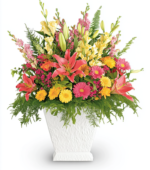 Radiant Blooms