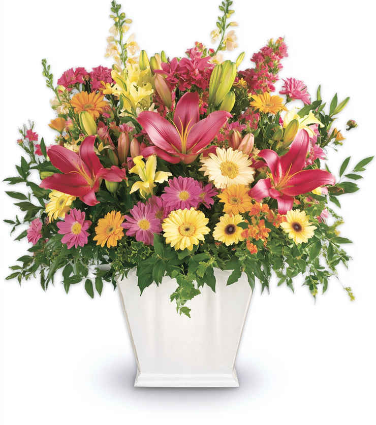 Radiant Blooms