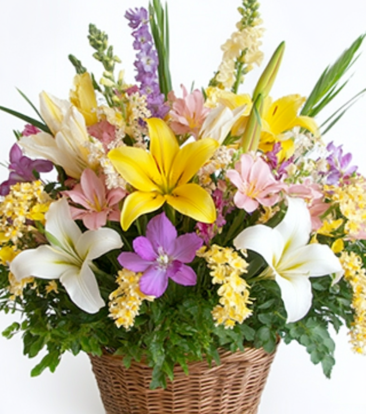 Radiant Blooms