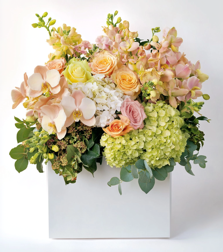 Rainbow of Blooms