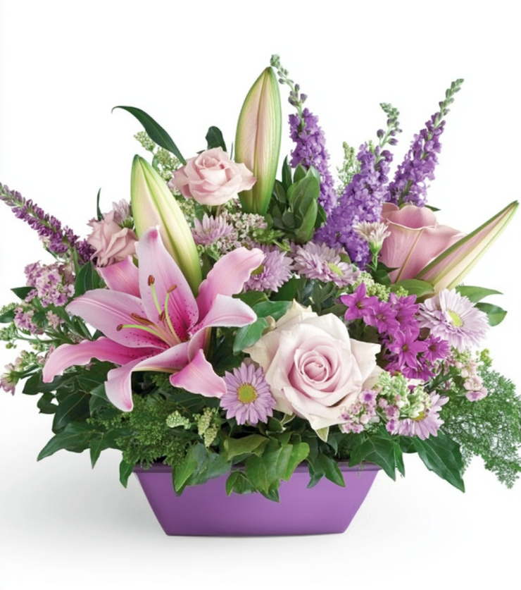 Stars in this stylish design