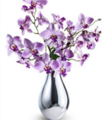Tender Orchid Bouquet