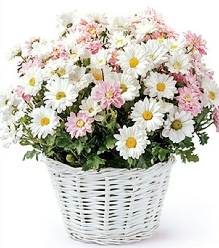 The Springtime Bouquet