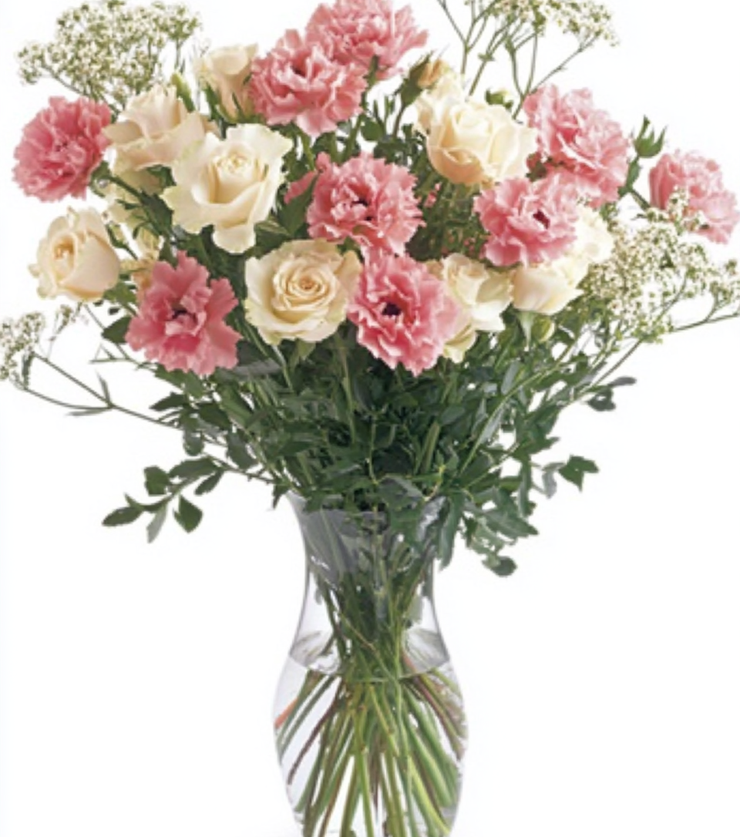 Timeless Roses
