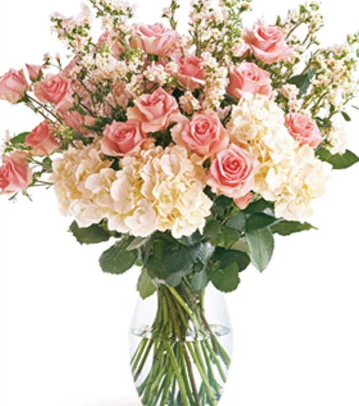 Timeless Roses