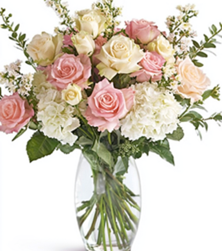 Timeless Roses