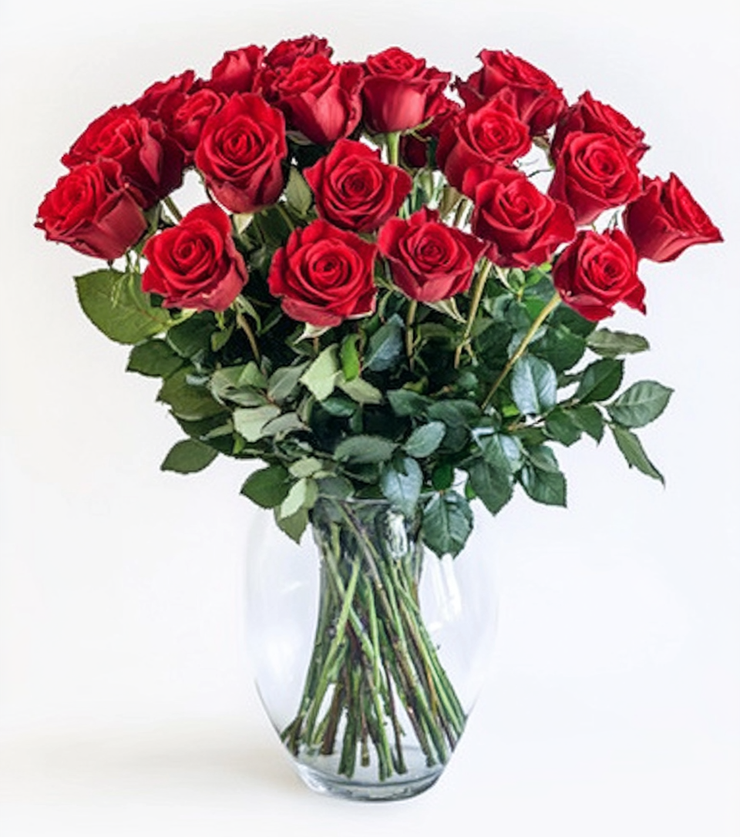 True Romance Roses