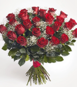 Two Dozen Red Rose Collection
