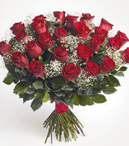 Two Dozen Red Rose Collection