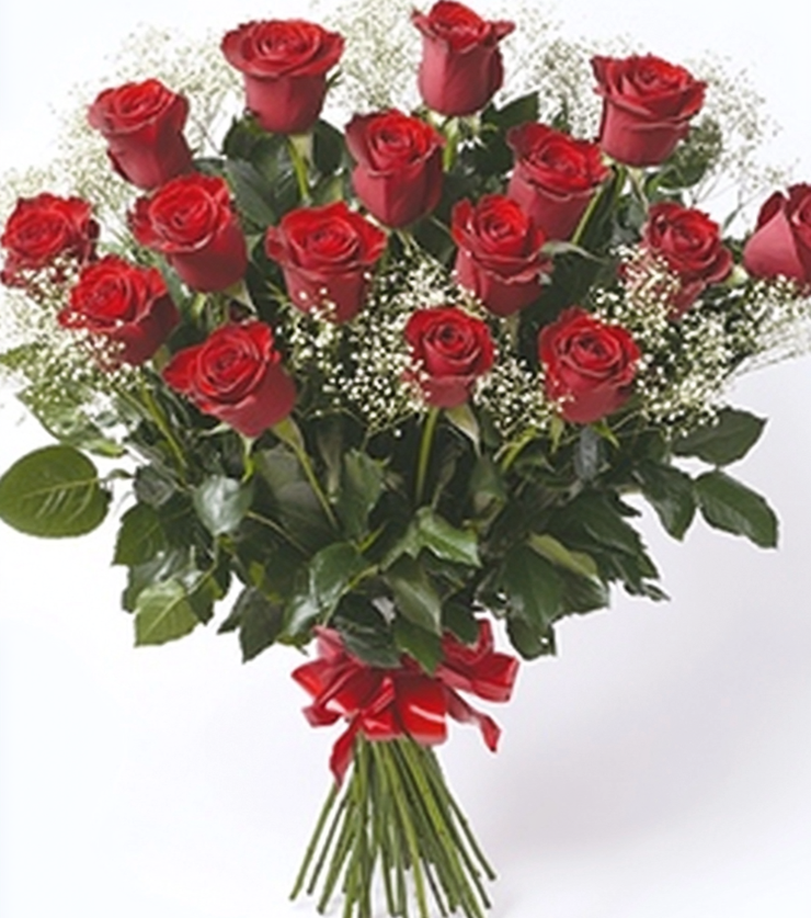 Two Dozen Red Rose Collection
