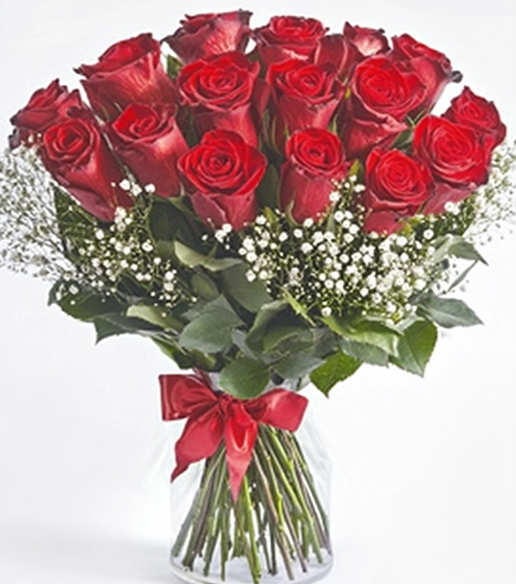 Two Dozen Red Rose Collection