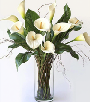 White Callas