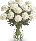 White Carnations