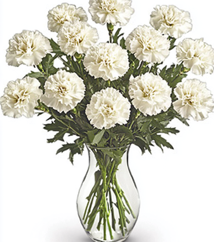 White Carnations