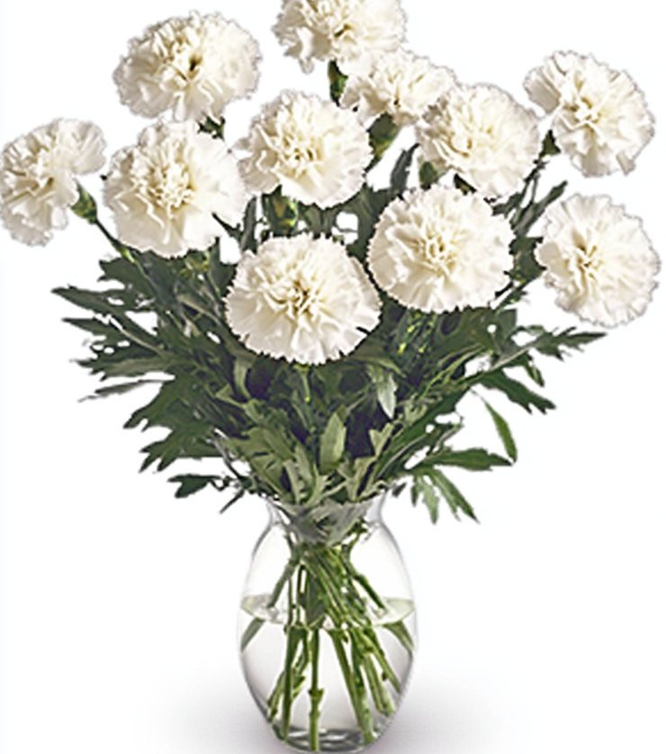 White Carnations