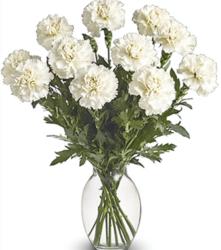 White Carnations
